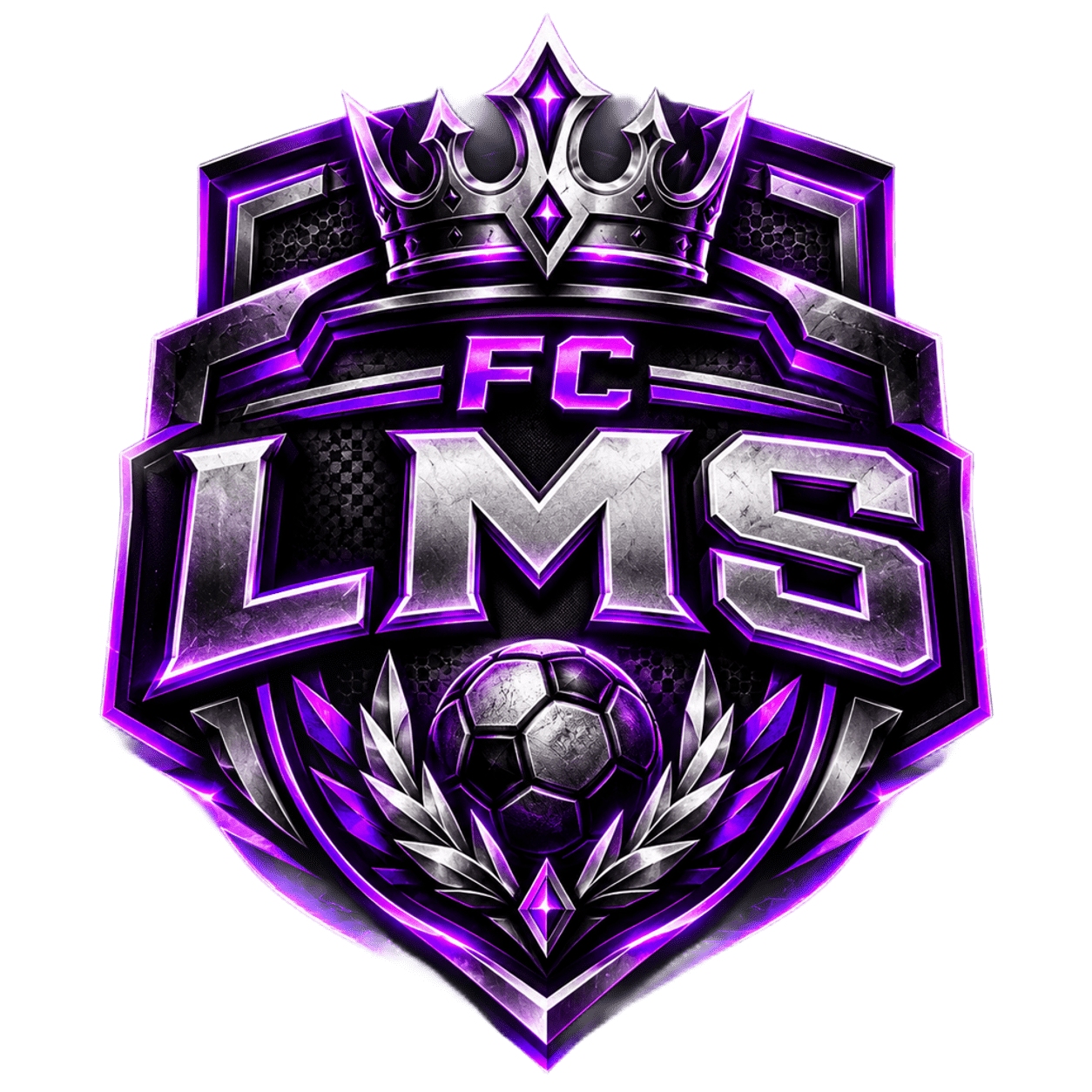 Logo FC LMS